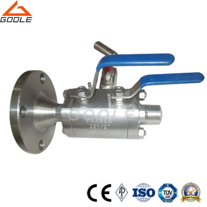 Gear Operated A105/ Lf2/F304L/F316L Forged Steel Dbb Valve / Double Block & Bleed Valve / Dbb Ball Valve